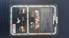 2015-09-07 13.28.25.jpg