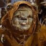 Juan Hairy Ewok