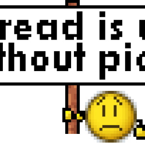 useless without pics.png