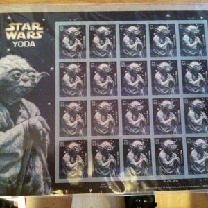 IMG_1147 (1024x765).jpg