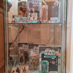 12_backs_4 (Medium).jpg