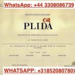 WhatsApp: +44 3308086739, +31 852080780) BUY PLIDA LANGUAGE CERTIFICATE FOR SALE ONLINE.jpeg