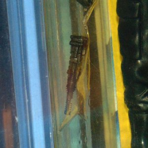 Imperial Gunner - 03.jpg