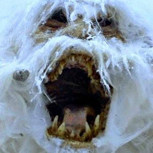 Hoth Wampa.jpg