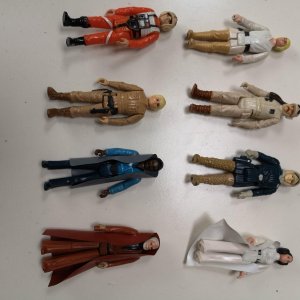 2024-11-09 13.03.59.jpg