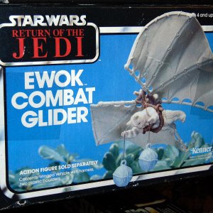 Teddy's Hang Glider - 01.jpg