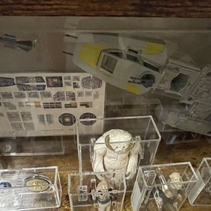 IMG_0874.jpeg