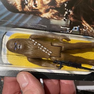 IMG_7136.jpeg