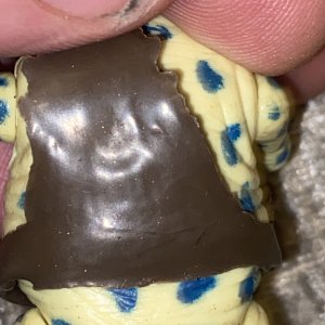 IMG_6970.jpeg