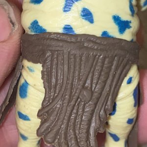 IMG_6972.jpeg