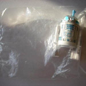 IMGP8005.jpg
