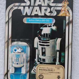 DSC_0150 (コピー).JPG