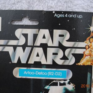 DSC_0151 (コピー).JPG