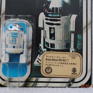 DSC_0152 (コピー).JPG