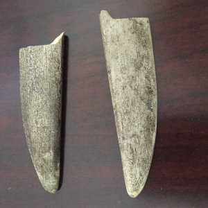 Media 'image1.JPG' in category 'Props & Autographs'